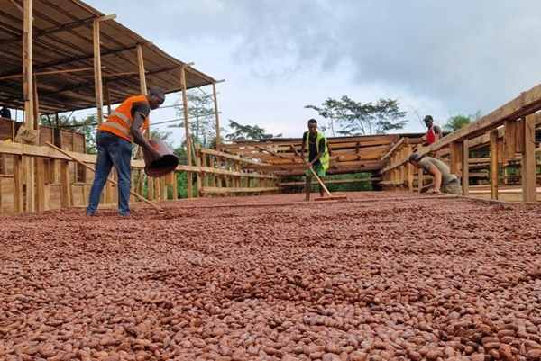 Exportations des produits agricoles : la RDC réalise un record à 433 millions $ en 2024