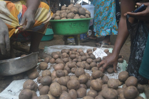 DRC: Insecurity in Ituri Province Isolates Djudgu Territory