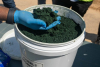 Cobalt en RDC : l’incertitude plane sur le sort des quotas d’exportation de 2025