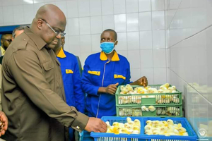 DR Congo plans $19M investment in N’Sele agro-industrial farm