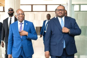 Liste grise du GAFI : l’évaluation finale de la RDC freinée par Ebola