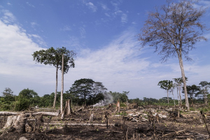 DRC Launches $19 Million Climate Resilience Project in Conflict-Prone Eastern Provinces