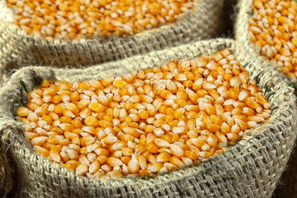DR Congo: Corn Prices Down in Q1 2025 in Kasai and Katanga