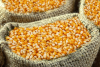 DR Congo: Corn Prices Down in Q1 2025 in Kasai and Katanga