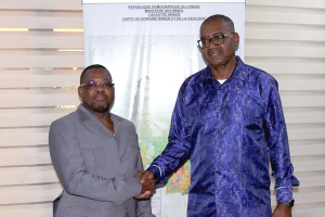Diamond-Rich Kasai Province Moves to Boost Mining Tax Collection