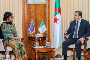 DRC taps Algerian expertise to modernize petroleum data