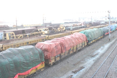 months-long-sncc-delays-leave-kasai-central-fish-traders-facing-heavy-losses