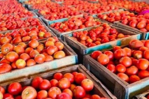 Kinshasa Food Prices Plummet as Harvest Season Floods Markets with Supply