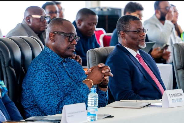 DRC: Mining Companies Push for Extension on Worker Shareholding Rule