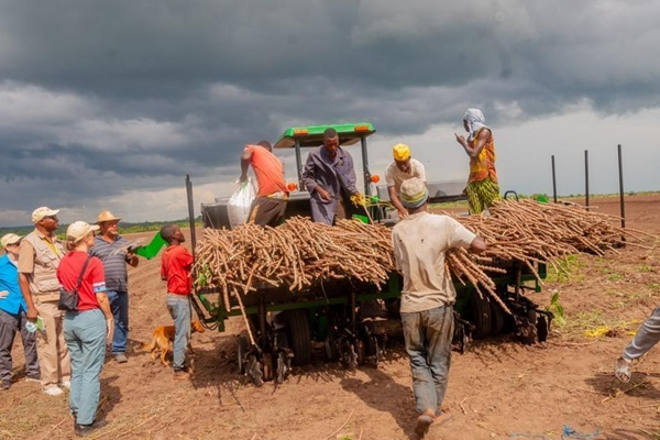 Agriculture en RDC : évolution, sources et orientation des investissements entre 2019 et 2023