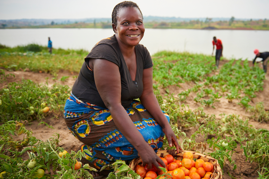 credits-agricoles-equity-bcdc-decuple-son-encours-a-79-3-millions-en-2025