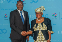 Commerce et pêche : la RDC enclenche le processus de ratification de deux accords de l’OMC