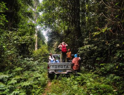 carbon-emissions-dr-congo-secures-19-5-million-from-world-bank