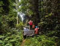 Carbon Emissions: DR Congo Secures $19.5 Million from World Bank