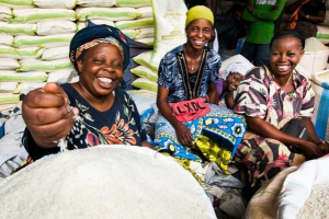 Céréales : la production de la RDC attendue à 3,9 millions de tonnes en 2024 (FAO)