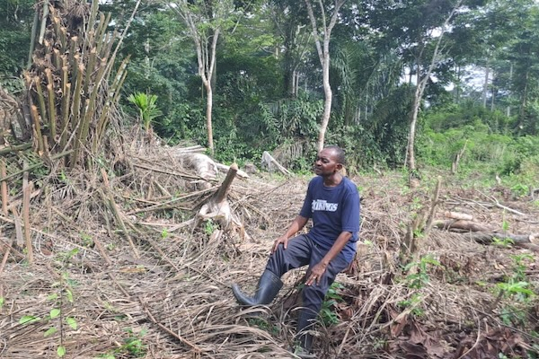Housing project in Tshopo suspended following environmental concerns