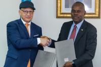 DRC formalizes 150 mln euro electrification deal with Germany's Gauff Engineering