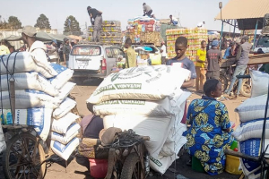 La RDC interdit les importations depuis la Zambie de 8 marques de farine de maïs