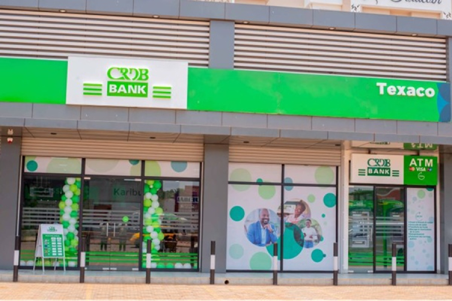 DR Congo: CRDB Bank Lost $2.5M in 2024 but Stays Optimistic - BANKABLE