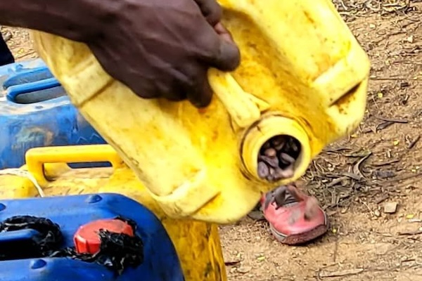 Nord-Kivu : le cacao saisi aux frontières désormais vendu pour financer les infrastructures