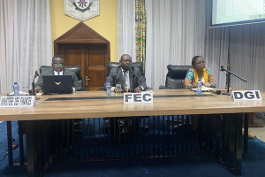 DRC grants new delay to rollout of standardized invoice for VAT reform