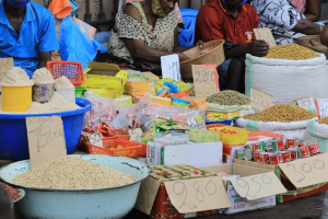 Petit commerce : Kinshasa organise la sortie progressive des opérateurs étrangers