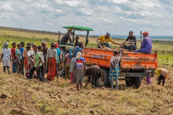 Secteur agricole : la BAD veut créer 25 000 emplois qualifiés en RDC