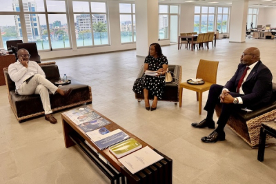 cuivre-cobalt-buenassa-veut-racheter-chemaf-pour-securiser-son-projet-de-raffinerie