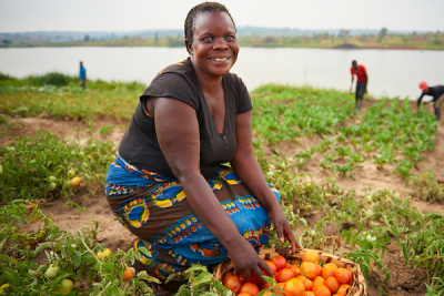 equity-bcdc-s-agricultural-loan-portfolio-rises-nearly-tenfold-to-79-3-million-in-2025