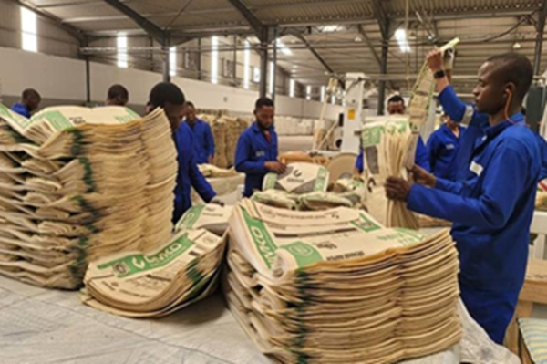 DR Congo extends restrictions on cement and industrial bag imports