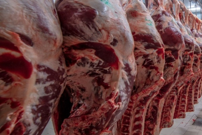 drc-beef-market-faces-double-hit-from-south-africa-ban-and-bridge-collapse